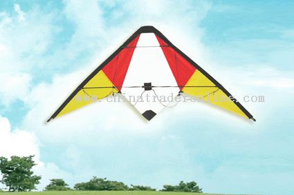 Stunt Kite-Two line control from China